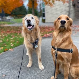 Meet your Posher, Laura